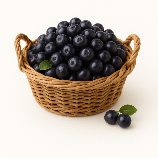 Frische Aroniabeeren verpackt für den Versand – direkt vom Anbaubetrieb geliefert.