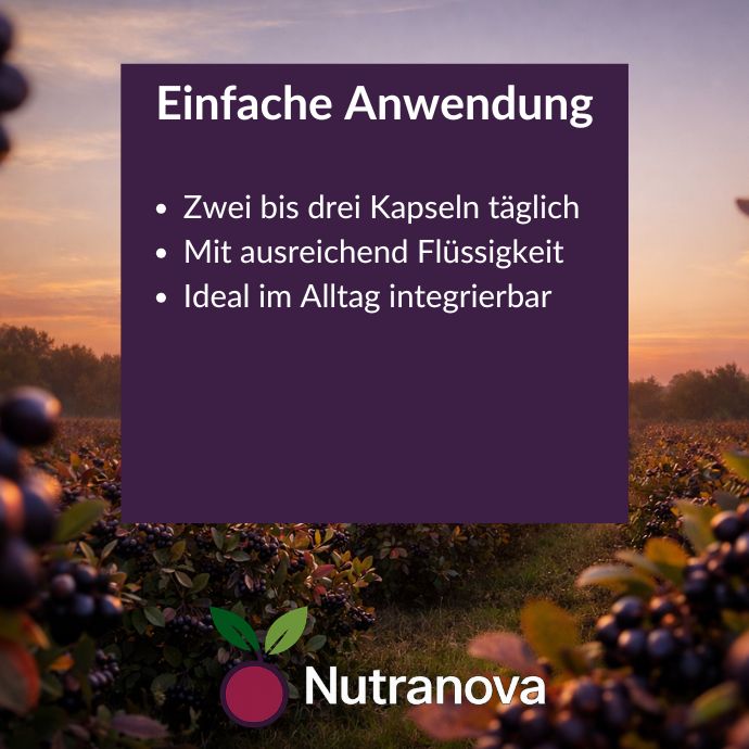 Bio-Aronia Kapseln – 180 vegane Kapseln mit 500 mg Aroniapulver