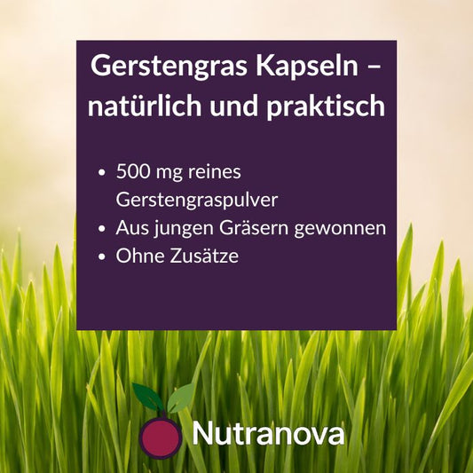 Bio-Gerstengras Kapseln – 150 vegane Kapseln mit 500 mg Gerstengraspulver