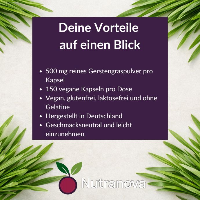 Bio-Gerstengras Kapseln – 150 vegane Kapseln mit 500 mg Gerstengraspulver