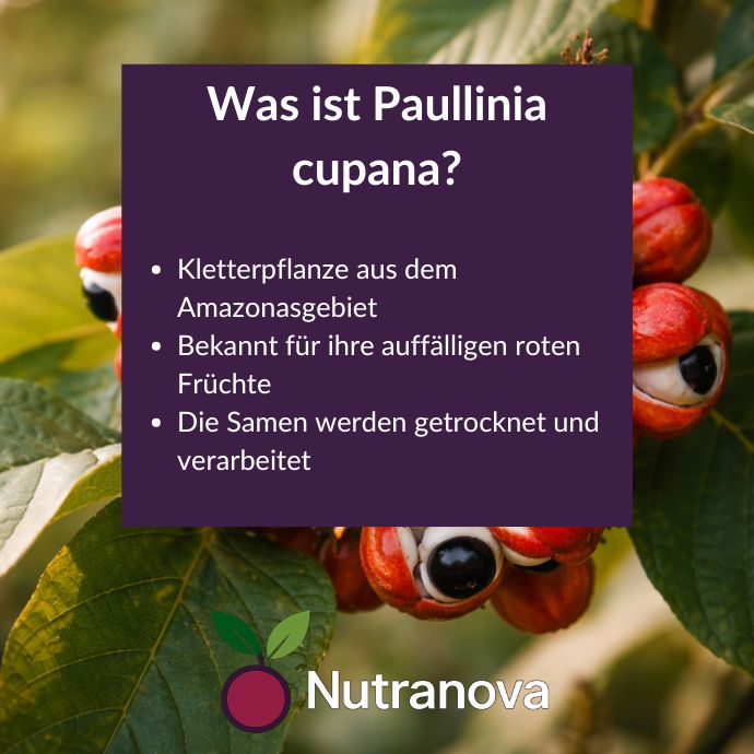 Bio-Guarana Kapseln – 150 vegane Kapseln mit 500 mg Guarana-Pulver