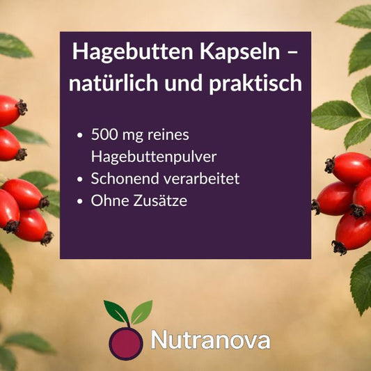 Bio-Hagebutten Kapseln – 150 vegane Kapseln mit 500 mg Hagebuttenpulver