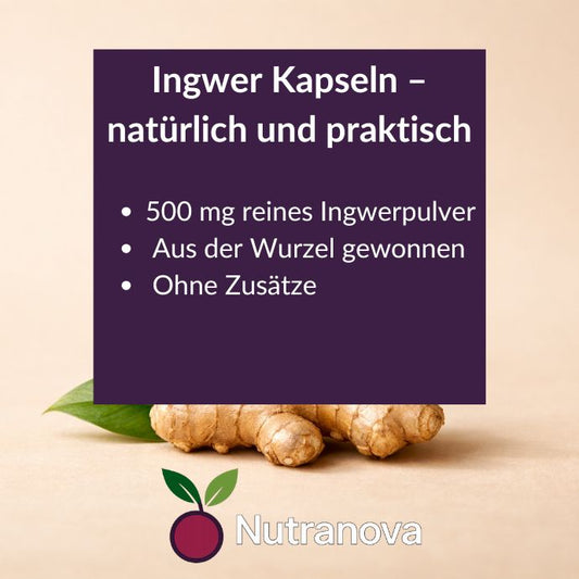 Bio-Ingwer Kapseln – 150 vegane Kapseln mit 500 mg Ingwerpulver