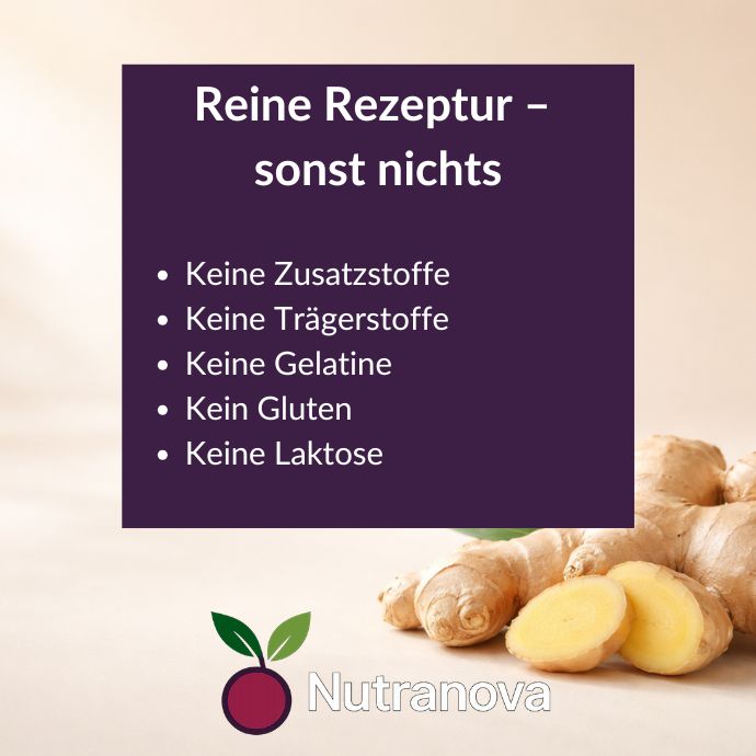 Bio-Ingwer Kapseln – 150 vegane Kapseln mit 500 mg Ingwerpulver