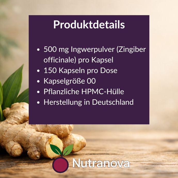 Bio-Ingwer Kapseln – 150 vegane Kapseln mit 500 mg Ingwerpulver