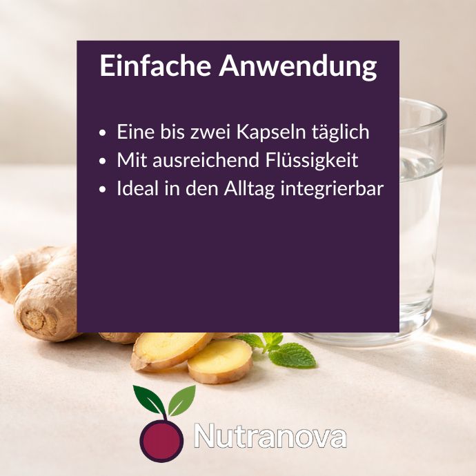 Bio-Ingwer Kapseln – 150 vegane Kapseln mit 500 mg Ingwerpulver